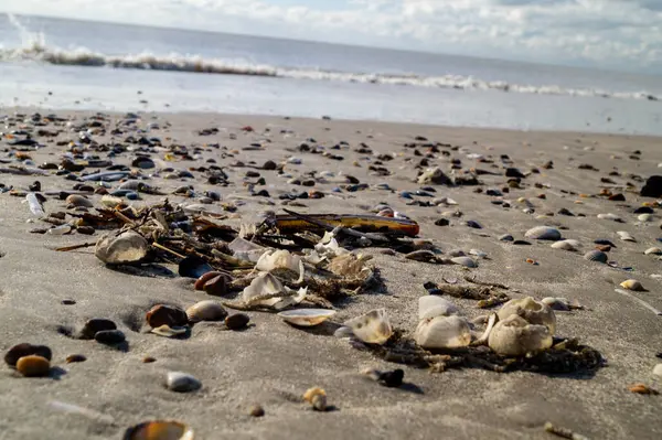 Blavand Danimarka 'nın kuzey denizindeki uçsuz bucaksız plajın izleri.