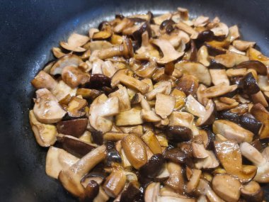 Ormandan yeni çıkmış mantarlar.