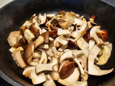 Ormandan yeni çıkmış mantarlar.