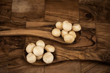 Macadamia fındığı, zeytin ağacında Macadamia tetraphylla