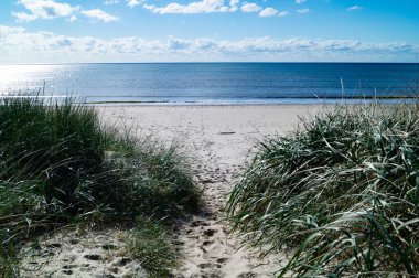 Sonsuz Hvidbjerg Sahili Danimarka