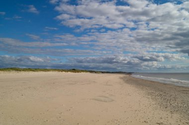 Sonsuz Hvidbjerg Sahili Danimarka