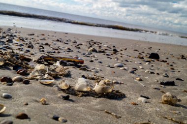 Sonsuz Hvidbjerg Sahili Danimarka