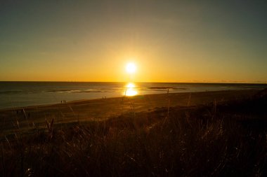 Sonsuz Hvidbjerg Sahili Danimarka