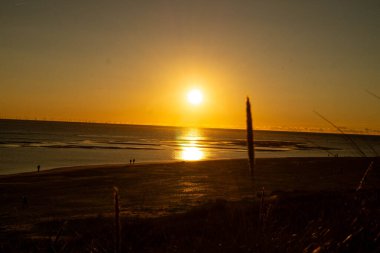 Sonsuz Hvidbjerg Sahili Danimarka