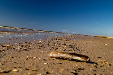 Sonsuz Hvidbjerg Sahili Danimarka