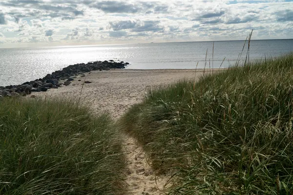 the endless beach of Hvidbjerg Strand Denmark