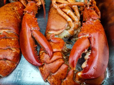 Biftek ve ıstakoz fileto.