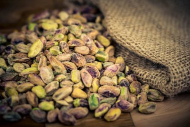 Tuzlu şam fıstığı Pistacia vera zeytin ağacında