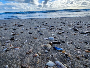 at the beach of Blavand in Denmark clipart