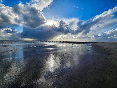 Danimarka 'da Blavand plajında.