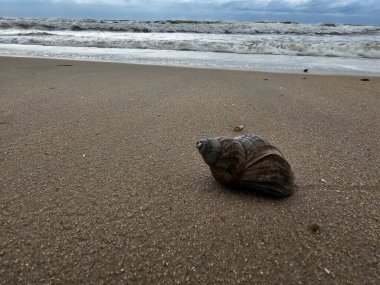 Danimarka 'da Blavand plajında.