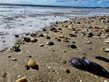 Danimarka 'da Blavand plajında.