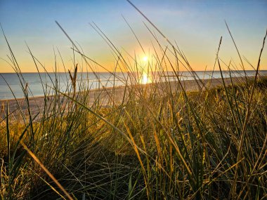 at the beach of Blavand in Denmark clipart