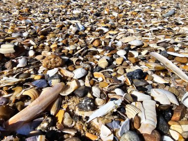 Danimarka 'da Blavand plajında.