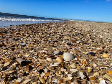 Danimarka 'da Blavand plajında.