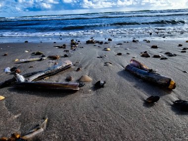 Danimarka 'da Blavand plajında.
