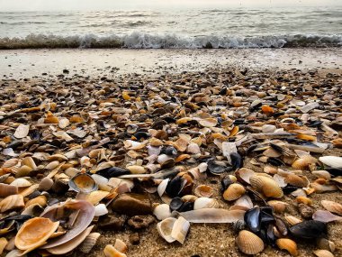 Danimarka 'da Blavand plajında.