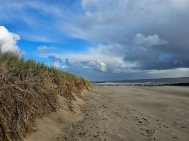 Danimarka 'da Blavand plajında.