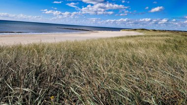 Danimarka 'da Blavand plajında.