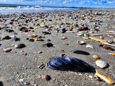 Danimarka 'da Blavand plajında.
