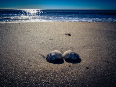 Danimarka 'da Blavand plajında.