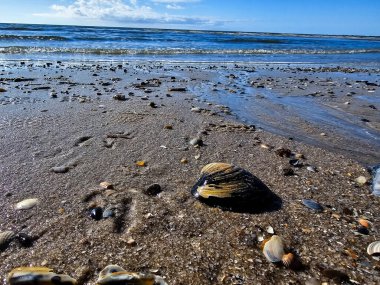 Danimarka 'da Blavand plajında.