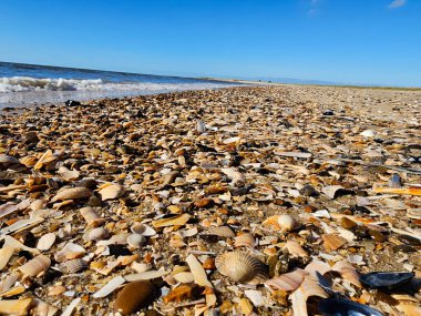 Danimarka 'da Blavand plajında.