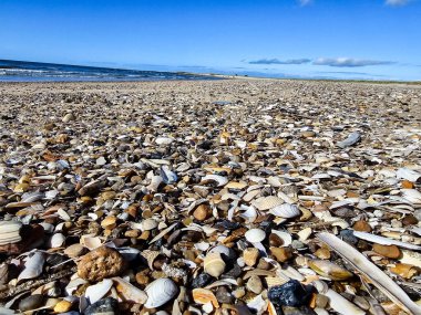 Danimarka 'da Blavand plajında.