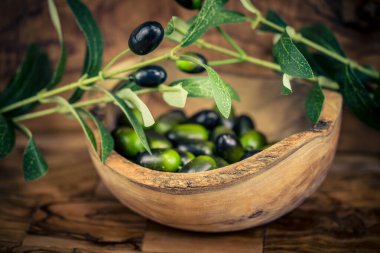 Ekstra taze zeytinyağlı soğuk zeytinyağı.