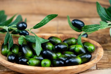 Ekstra taze zeytinyağlı soğuk zeytinyağı.