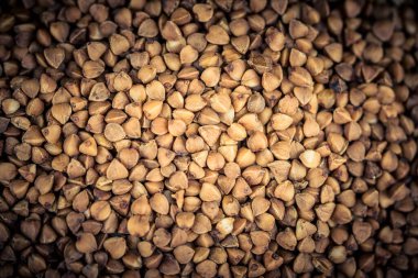 karabuğday Fagopyrum esculentum zeytin ağacında