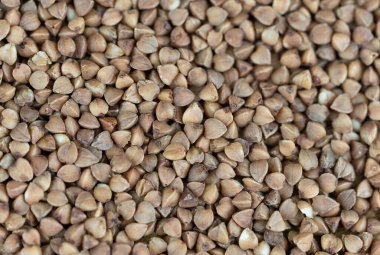 karabuğday Fagopyrum esculentum zeytin ağacında