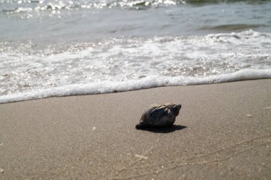 Danimarka 'da Blavand plajında.
