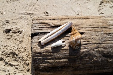 Danimarka 'da Blavand plajında.