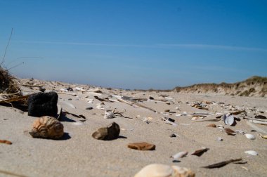 Danimarka 'da Blavand plajında.