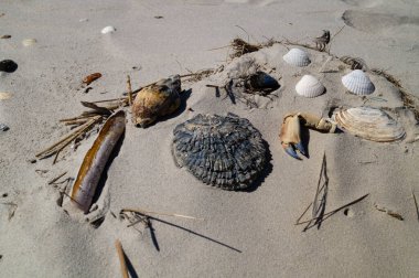 Danimarka 'da Blavand plajında.