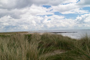 Danimarka 'da Blavand plajında.
