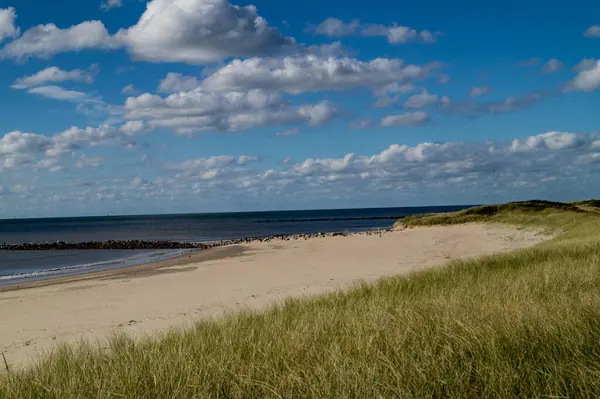 Danimarka 'da Blavand plajında.