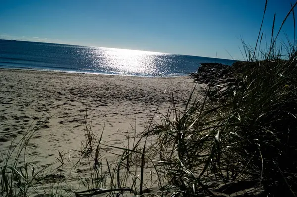 Danimarka 'da Blavand plajında.