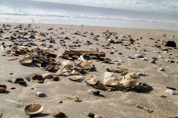 Danimarka 'da Blavand plajında.