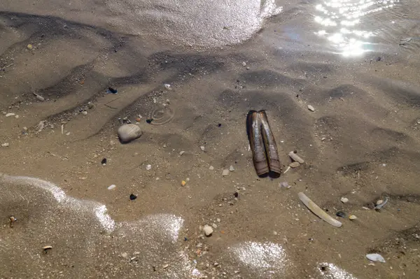 Danimarka 'da Blavand plajında.