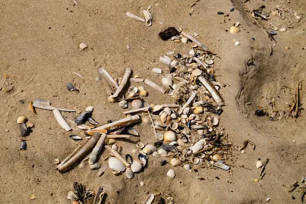 Danimarka 'da Blavand plajında.