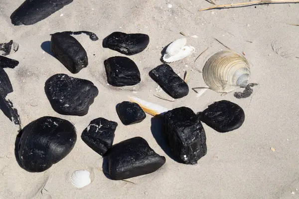 Danimarka 'da Blavand plajında.