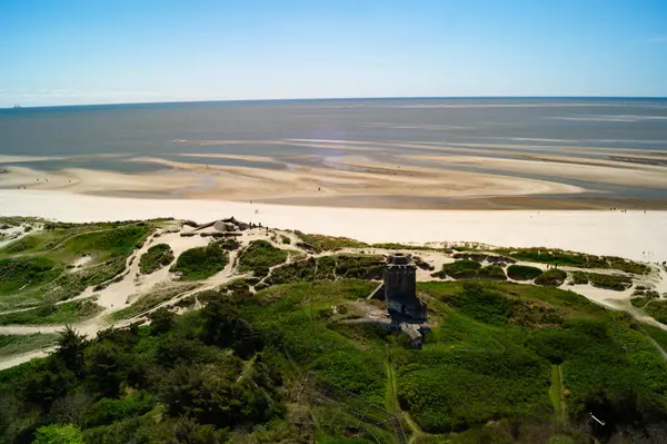 Danimarka 'da Blavand plajında.