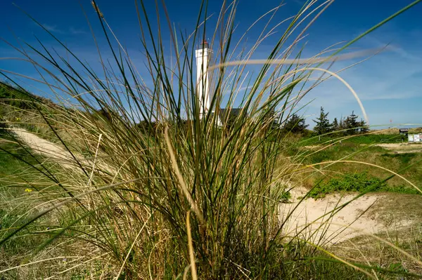 Danimarka 'da Blavand plajında.