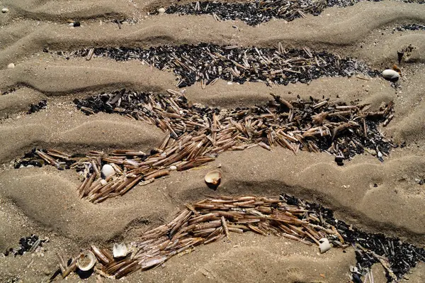 Danimarka 'da Blavand plajında.