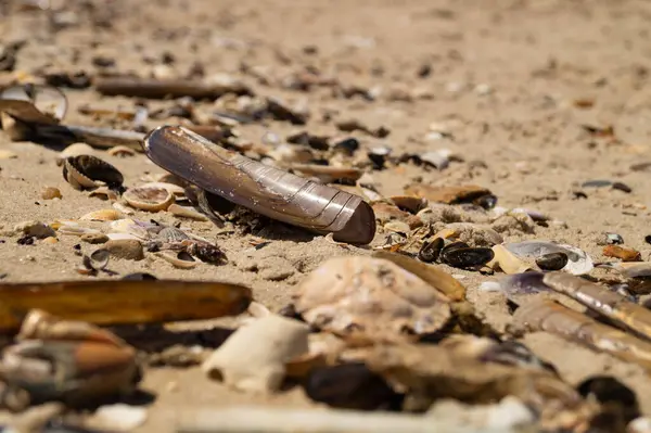Danimarka 'da Blavand plajında.