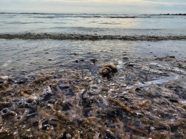 Danimarka 'da Blavand' ın Hvidbjerg plajı