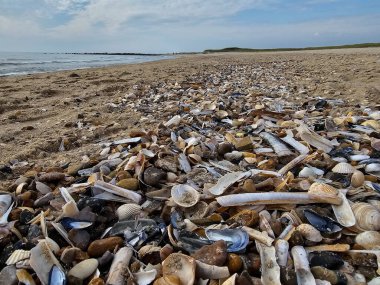 Danimarka 'da Blavand' ın Hvidbjerg plajı